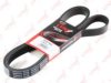 LYNXauto 8PK2410 V-Ribbed Belts